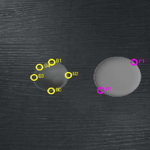 Keypoint annotation for Bowl on Plate